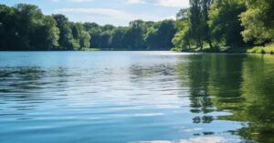 Blaualgen Berlin: Aktuelle Warnungen und Tipps für Badegewässer